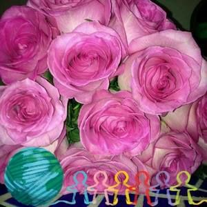 Meet your Posher, Carol